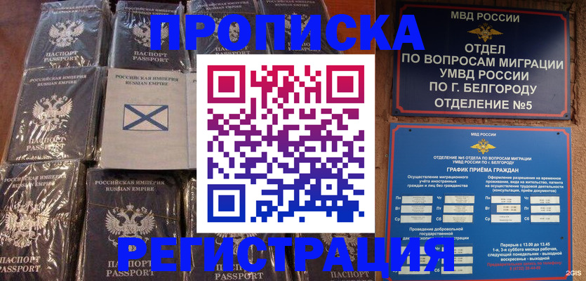 прописка гарантия в Одинцово